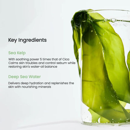 Biodance Refreshing Sea Kelp Real Deep Mask - 4pcs