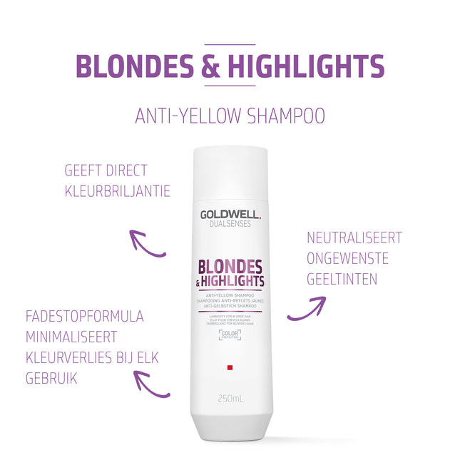 Goldwell Dualsenses Blondes & Highlights Anti-Yellow Shampoo - 100ml