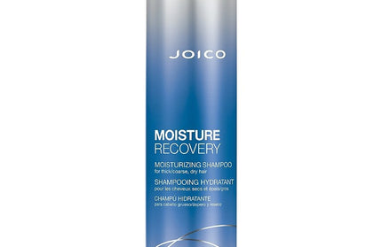 Joico Moisture Recovery Shampoo