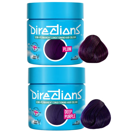 La Riche Directions Semi-Permanent Plum + Deep Purple Set - 2x100ml