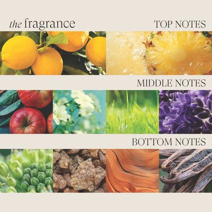 LANZA Healing ColorCare Silver Brightening Shampoo - 300ml