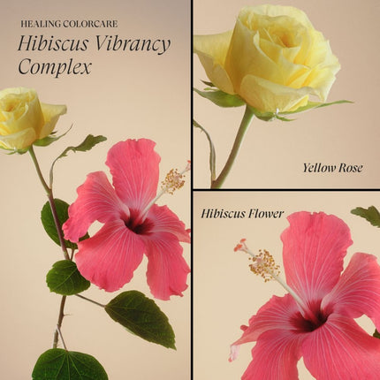 LANZA Healing ColorCare Silver Brightening Shampoo - 300ml