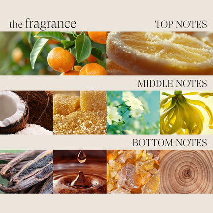 LANZA Healing Curls Butter Conditioner - 250ml