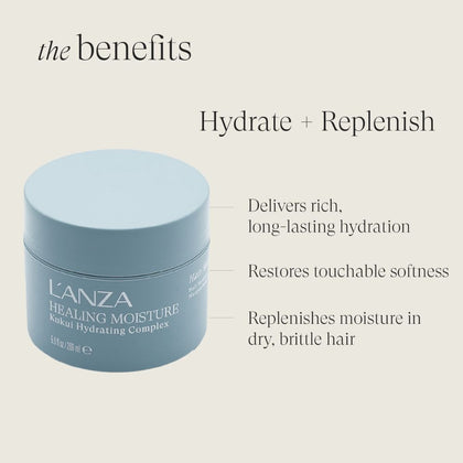 LANZA Healing Moisture Moi Moi Hair Masque - 200ml