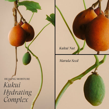 LANZA Healing Moisture Moi Moi Moisturizing Mist - 200ml