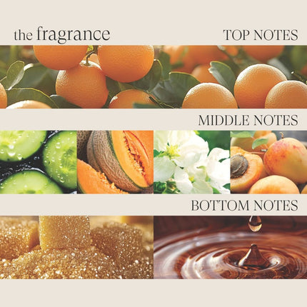 LANZA Healing Strength White Tea Shampoo