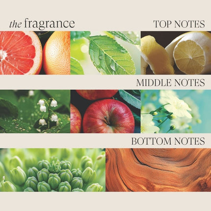 LANZA Healing Volume Final Effects - 350ml