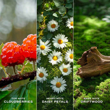 Marc Jacobs Daisy Love Eau de Toilette - 100ml