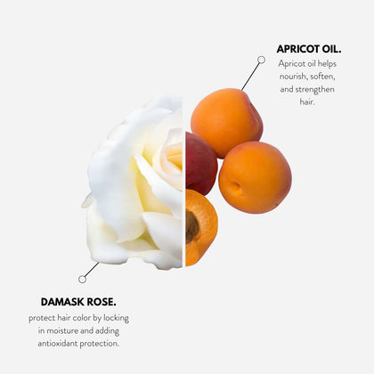 Metamorphose Color Vibrance Conditioner