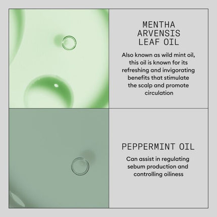 Nioxin Scalp Renew Dermabrasion Treatment - 75ml