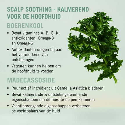 Schwarzkopf BC Scalp Soothing Shampoo