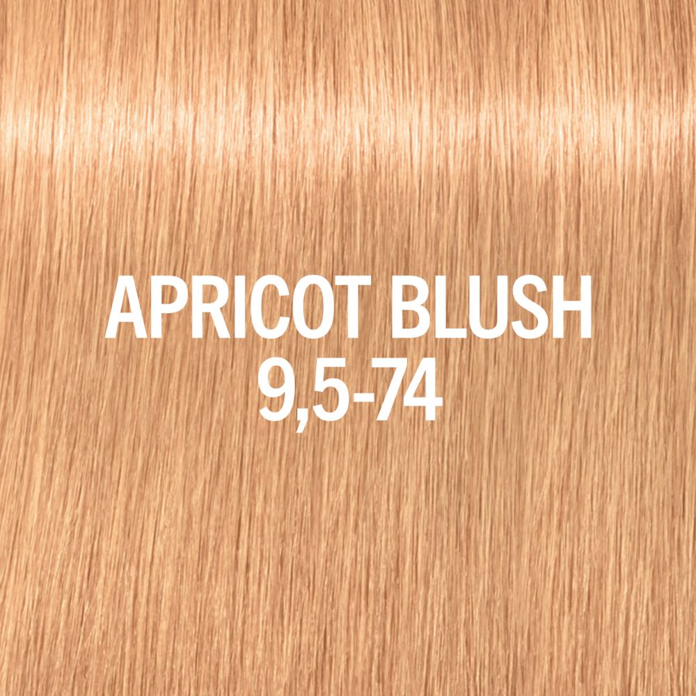 Apricot Blush