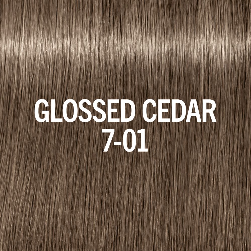 Glossed Cedar