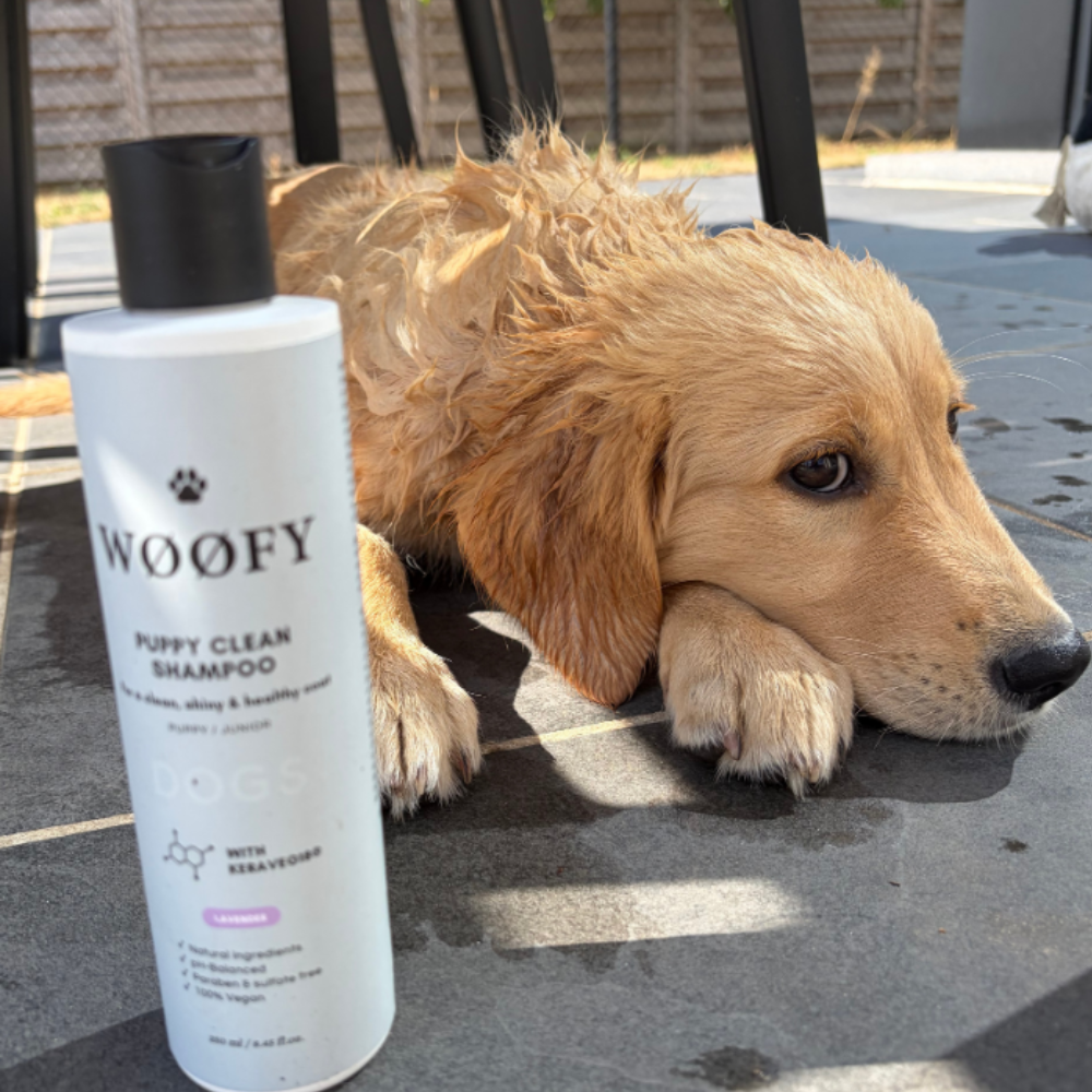 WØØFY Puppy Clean Shampoo - Fragrance Free