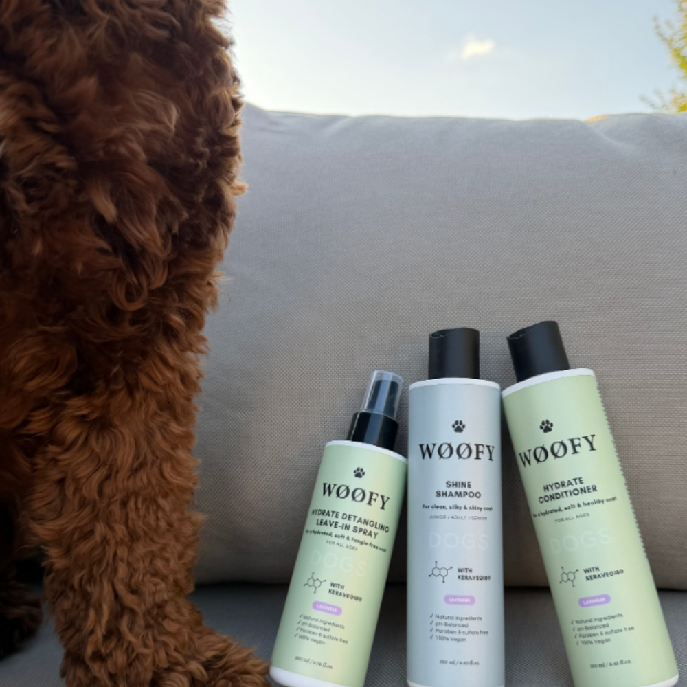 WØØFY Shine Shampoo Coconut