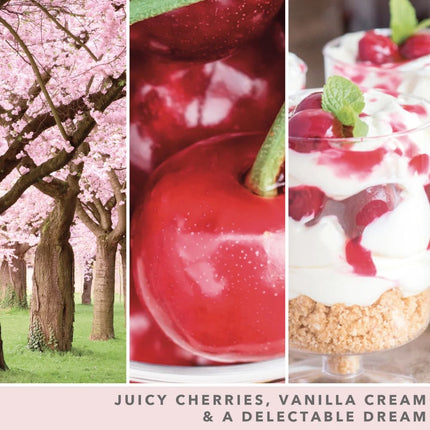 Yankee Candle Pink Cherry & Vanilla Signature Large Jar - 567gr